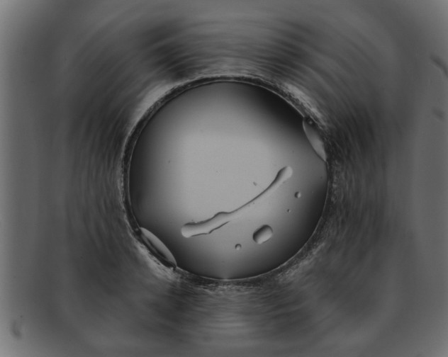 X0000091910942200709191317