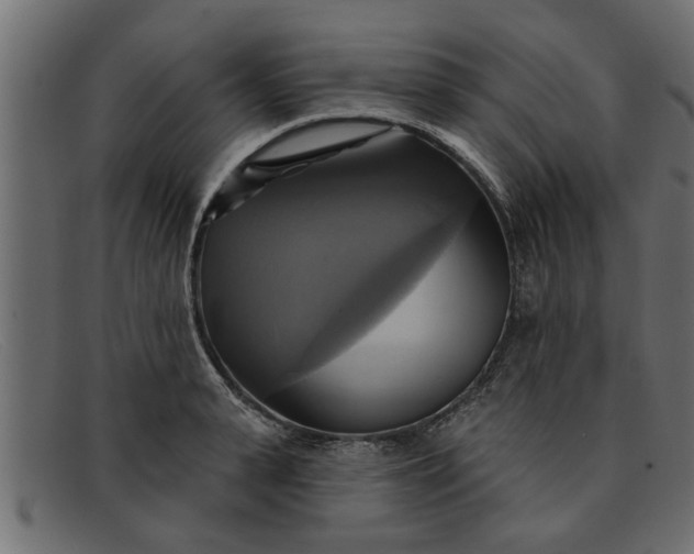 X0000091910943200709191317