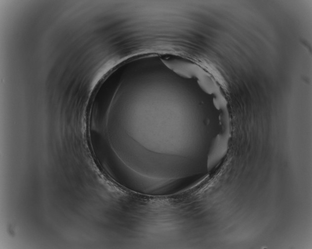 X0000091910944200709191317