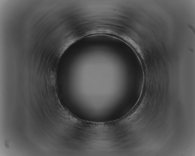 X0000091910945200709191317