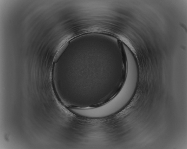 X0000091910946200709191317