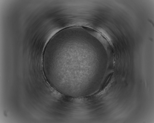 X0000091910948200709191317