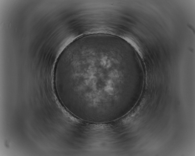 X0000091910949200709191317