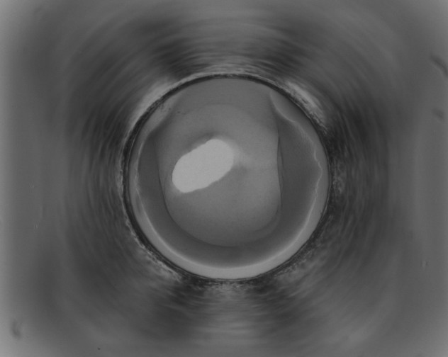 X0000091910950200709191317