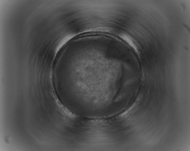 X0000091910952200709191317