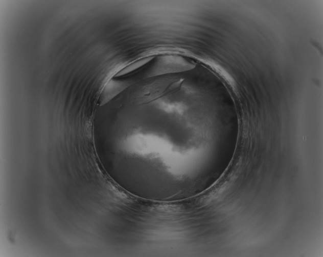 X0000091910953200709191317