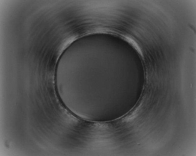 X0000091910954200709191317