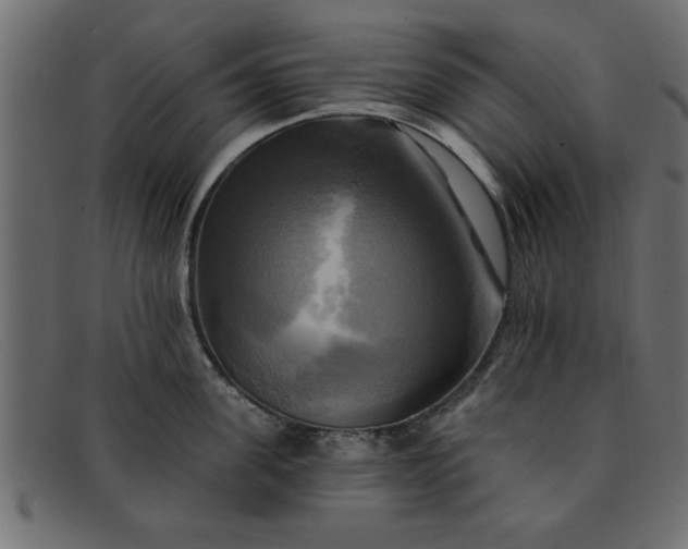 X0000091910955200709191317