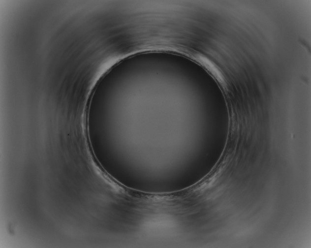 X0000091910958200709191317