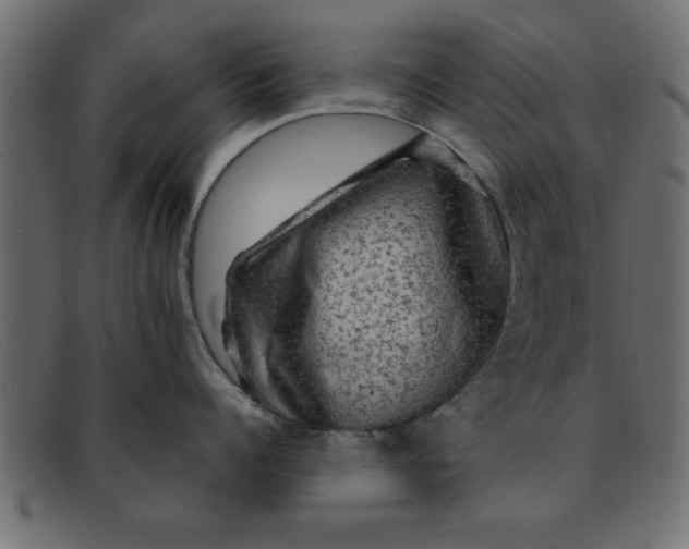 X0000091910960200709191317