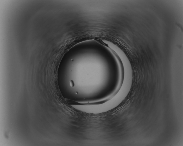 X0000091910961200709191317