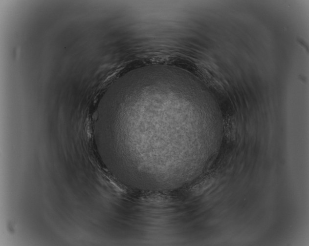 X0000091910962200709191317