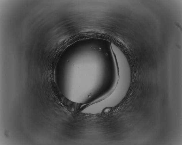 X0000091910965200709191317