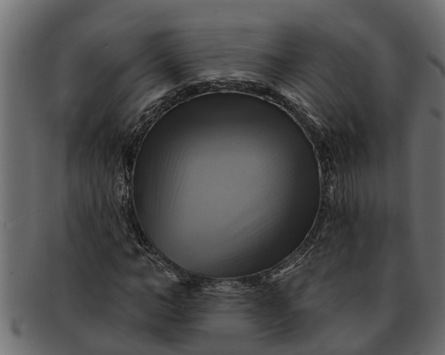 X0000091910966200709191317