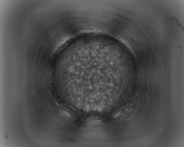 X0000091910967200709191317