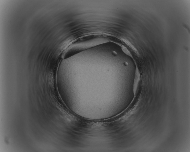 X0000091910969200709191317