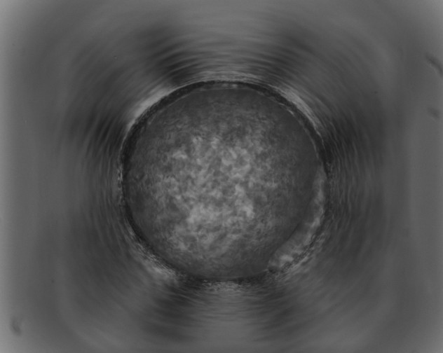 X0000091910971200709191317