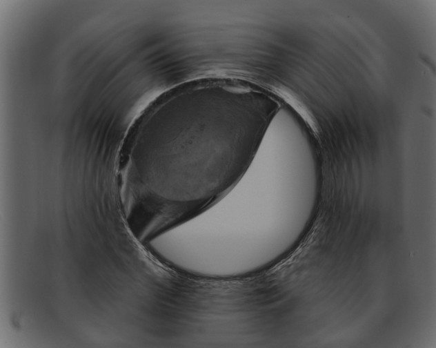 X0000091910972200709191317