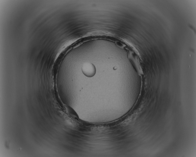 X0000091910973200709191317