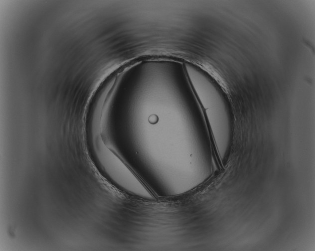 X0000091910976200709191317