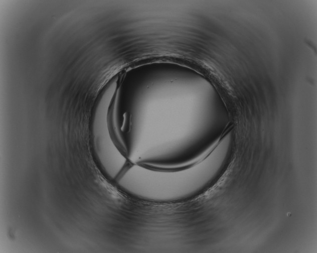 X0000091910977200709191317