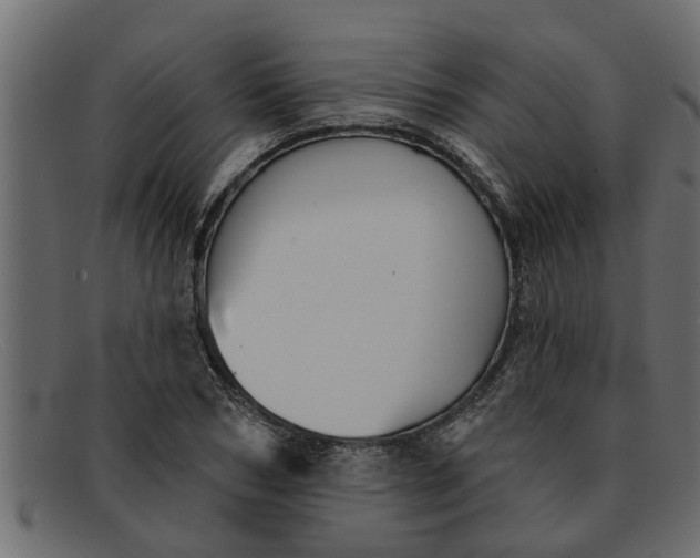 X0000091910978200709191317