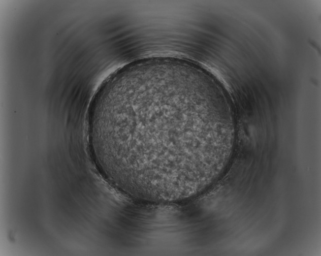 X0000091910979200709191317