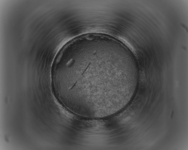 X0000091910980200709191317