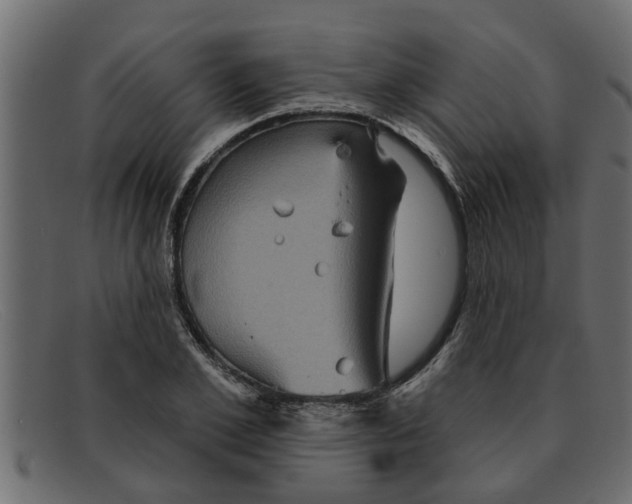 X0000091910981200709191317