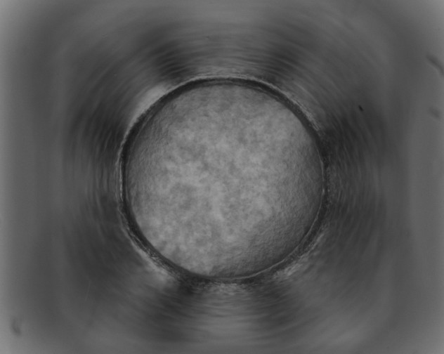 X0000091910982200709191317