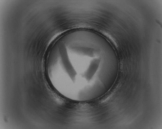 X0000091910983200709191317