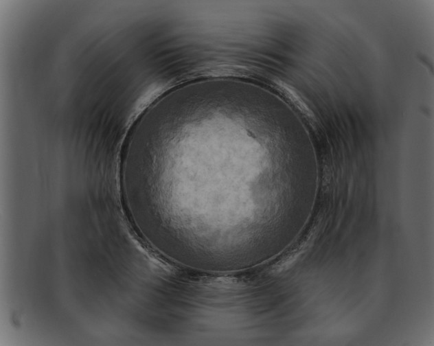 X0000091910986200709191317