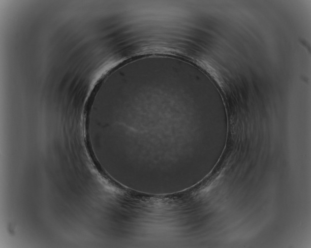 X0000091910987200709191317