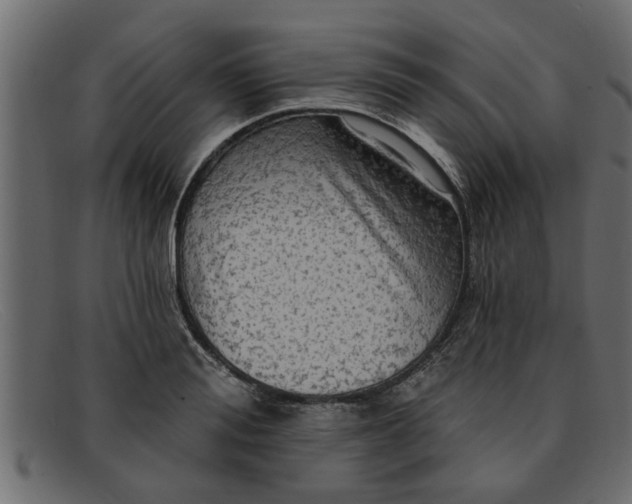 X0000091910988200709191316