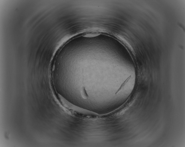 X0000091910989200709191316