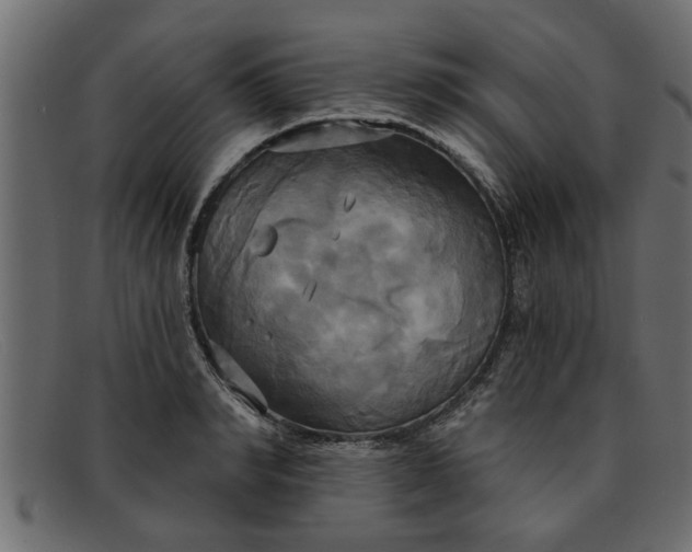 X0000091910990200709191316