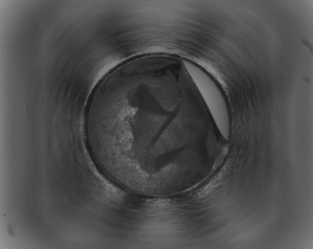 X0000091910991200709191316