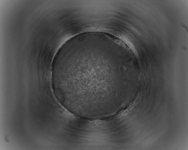 X0000091910992200709191316