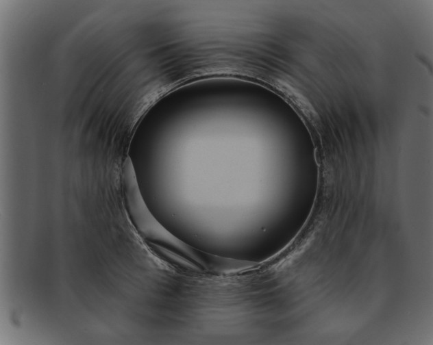 X0000091910993200709191316