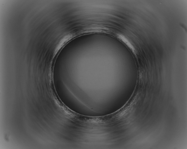 X0000091910994200709191316