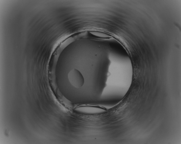 X0000091910995200709191316