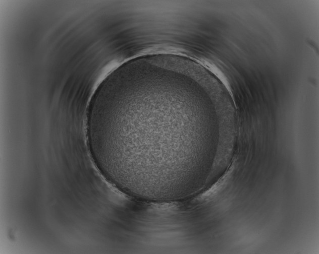 X0000091910997200709191316