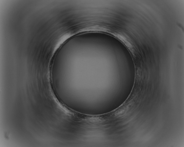 X0000091910998200709191316