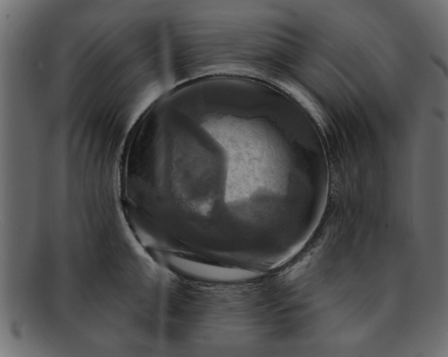 X0000091910999200709191316