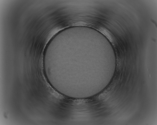 X0000091911000200709191316