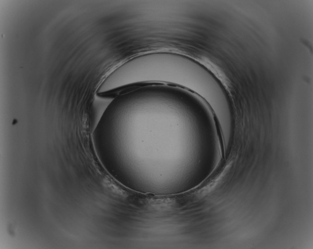 X0000091911001200709191316