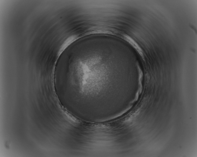 X0000091911002200709191316