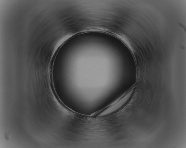 X0000091911003200709191316