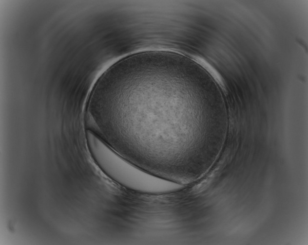 X0000091911004200709191316