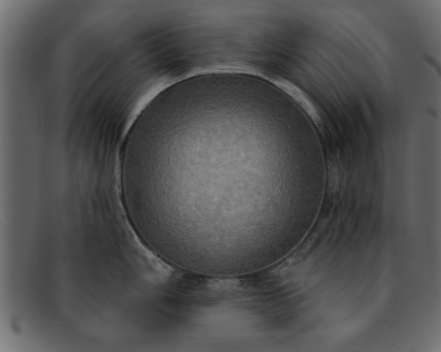 X0000091911006200709191316